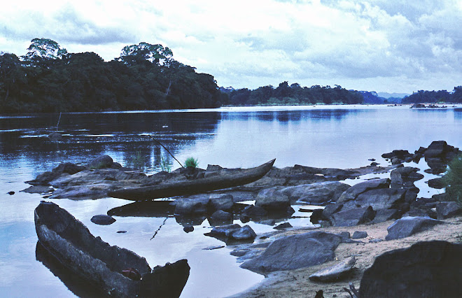 dugout canoes on River Moa near Vaama (Nongowa)