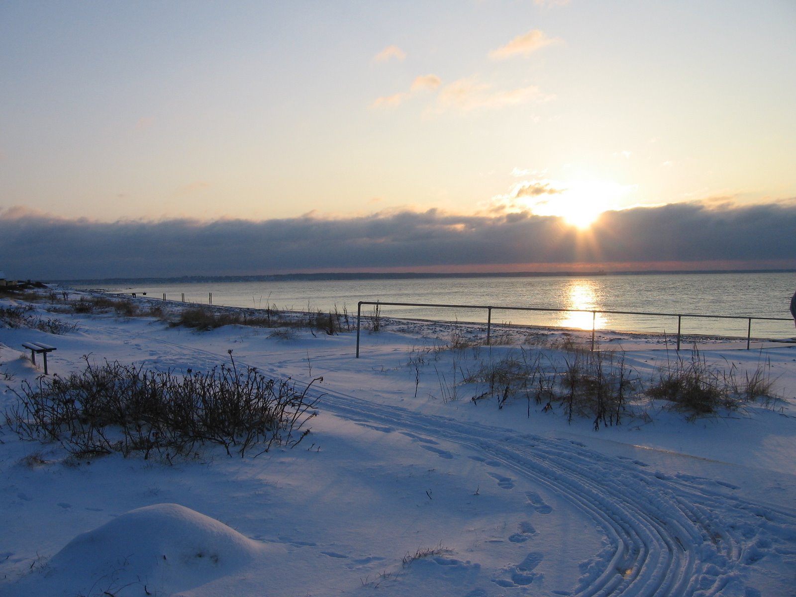 [IMG_0869.JPG]