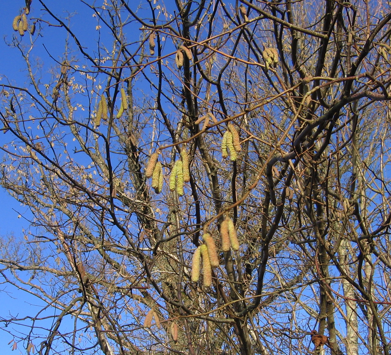 [IMG_4715.JPG]