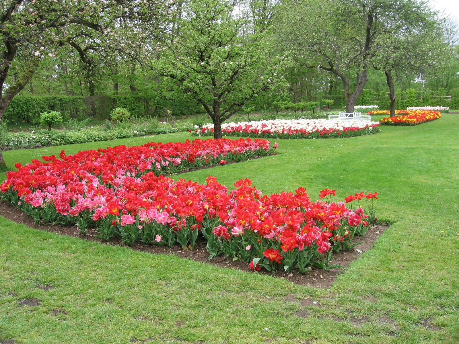 [IMG_6131.JPG]