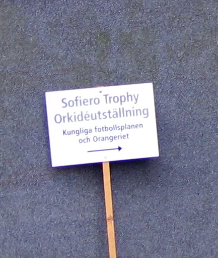[IMG_6378.JPG]