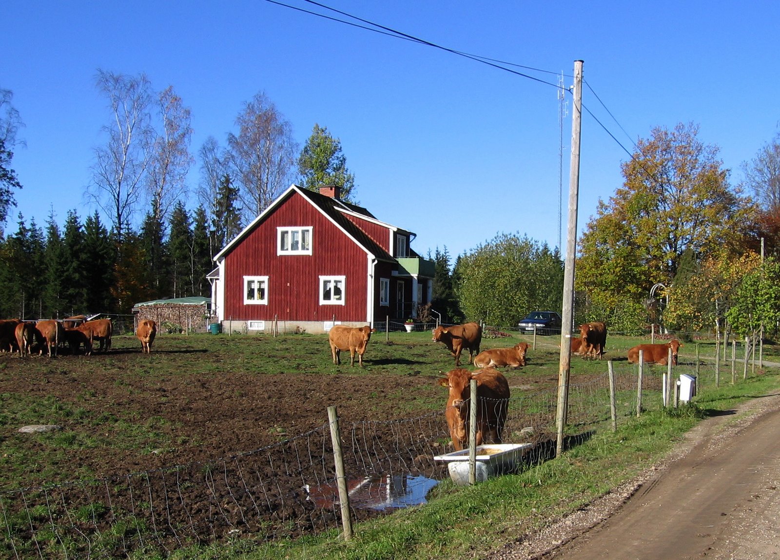 [IMG_8372.JPG]