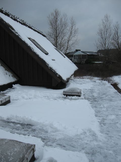 [IMG_4403.jpg]
