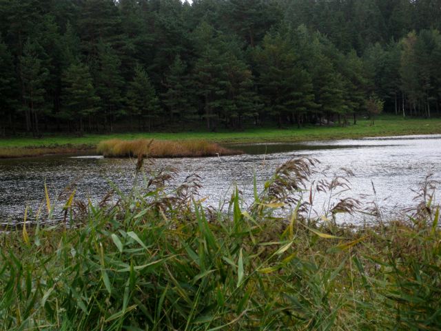 [Våra+vandringar_001.jpg]