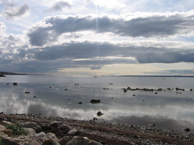 [IMG_2344.jpg]