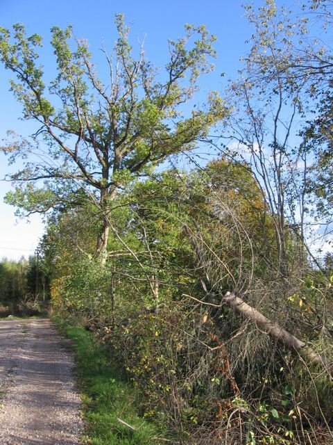 [IMG_0563.jpg]
