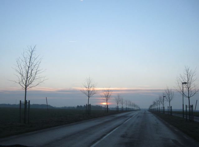 [IMG_0878.jpg]
