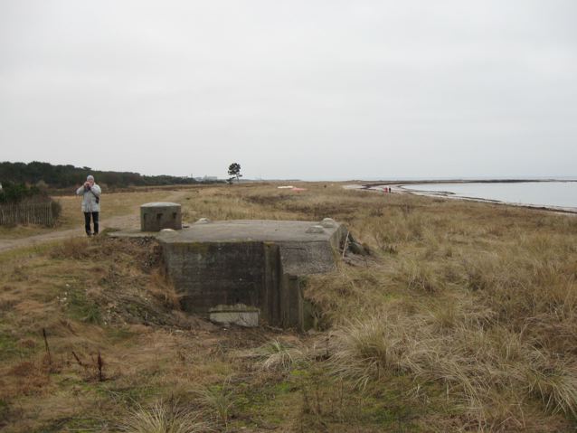 [IMG_1044.jpg]