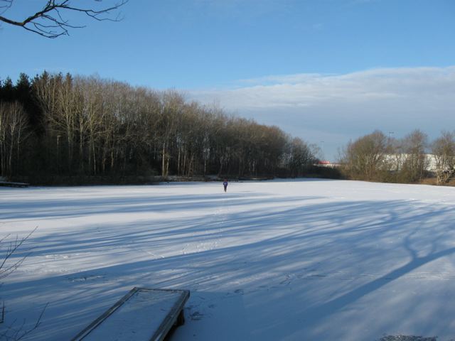 [IMG_1201.jpg]