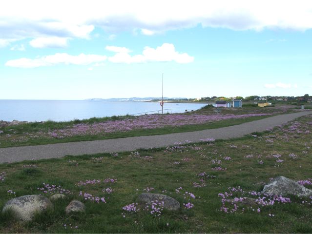 [IMG_2437.jpg]