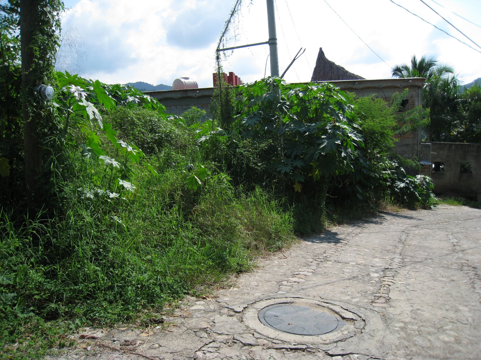 [STB_0941.JPG]