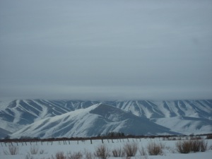 [IMG_6409.JPG]