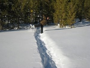 [IMG_2372.JPG]