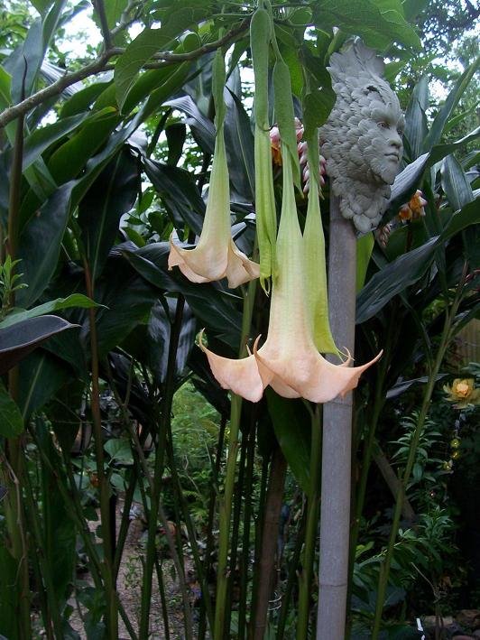 [blog08facebrug.jpg]