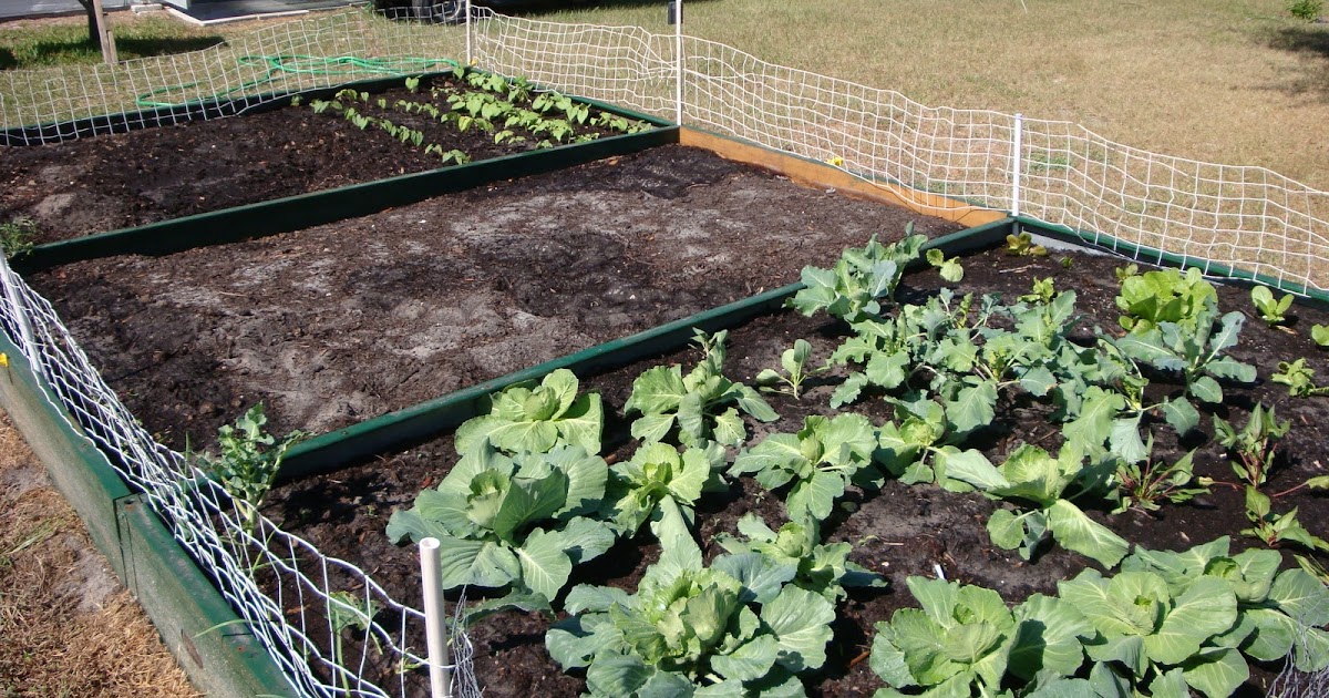 The Garden for Eatin'--for Practical Vegetable Gardening: Florida