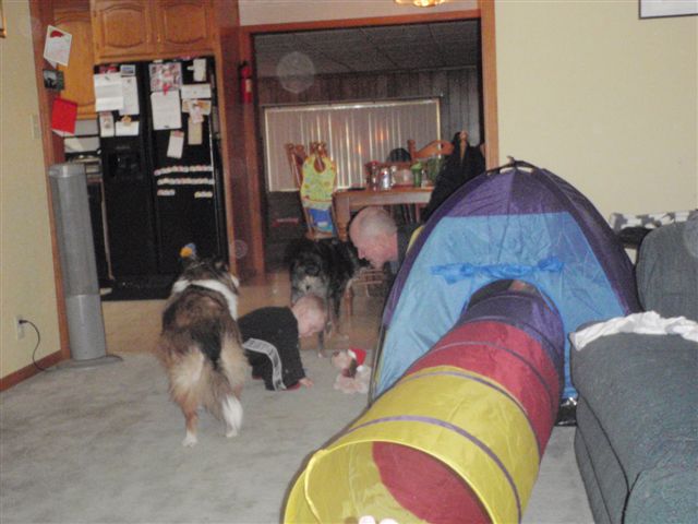 [2010-1-3+(25).JPG]