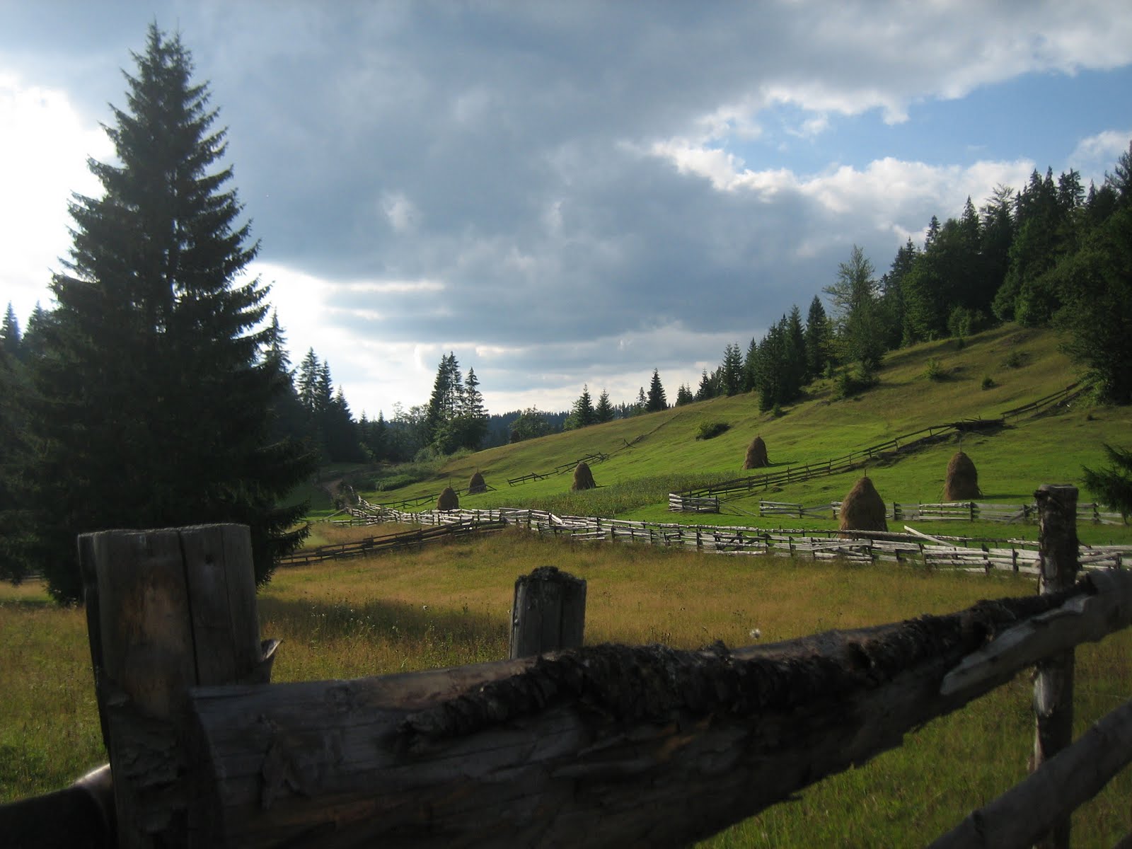 [IMG_7989.JPG]