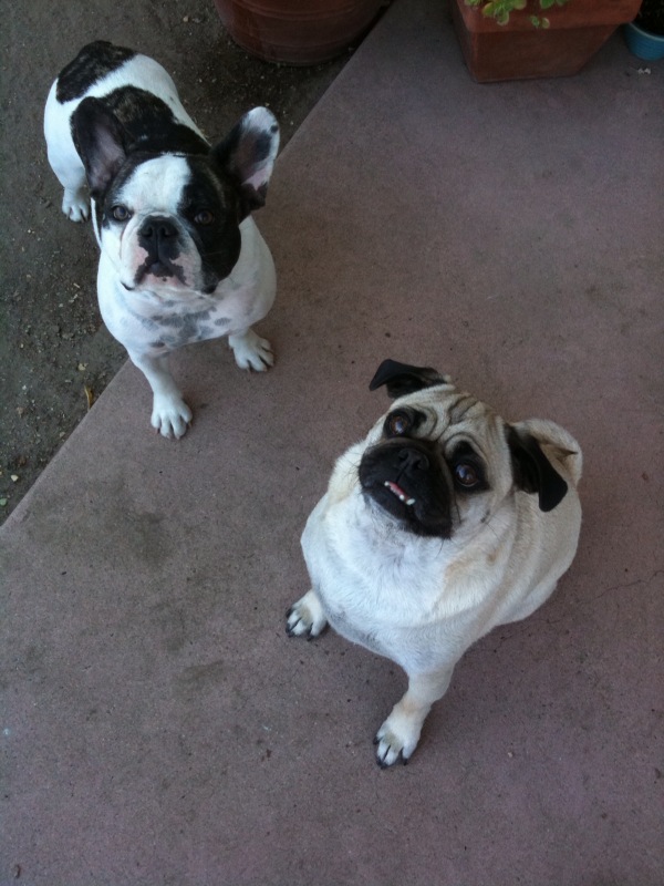 Betty and her brother Gunther Gunther From Friends. Betty and her brother Gunther