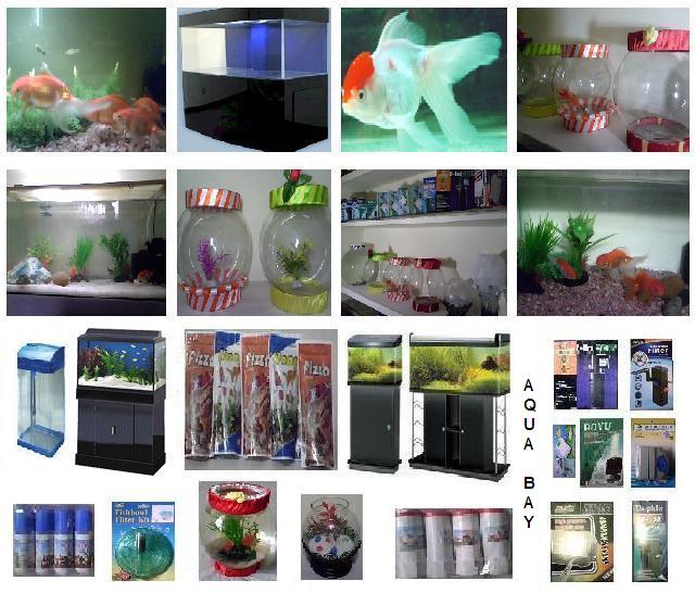 AQUARIUM, FRESHWATER & MARINE FISH, PET SUPPLIES, PET ACCESSORIES..