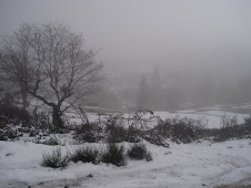 Cai neve,cai neve,cai neve em Braga...