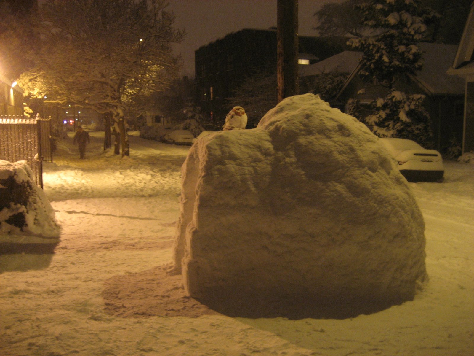 [IMG_8450.JPG]