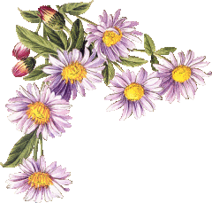 http://4.bp.blogspot.com/_lddFFu6s4yQ/SQz0JwnincI/AAAAAAAAEKw/o-oPyPxSGig/s400/14.gif