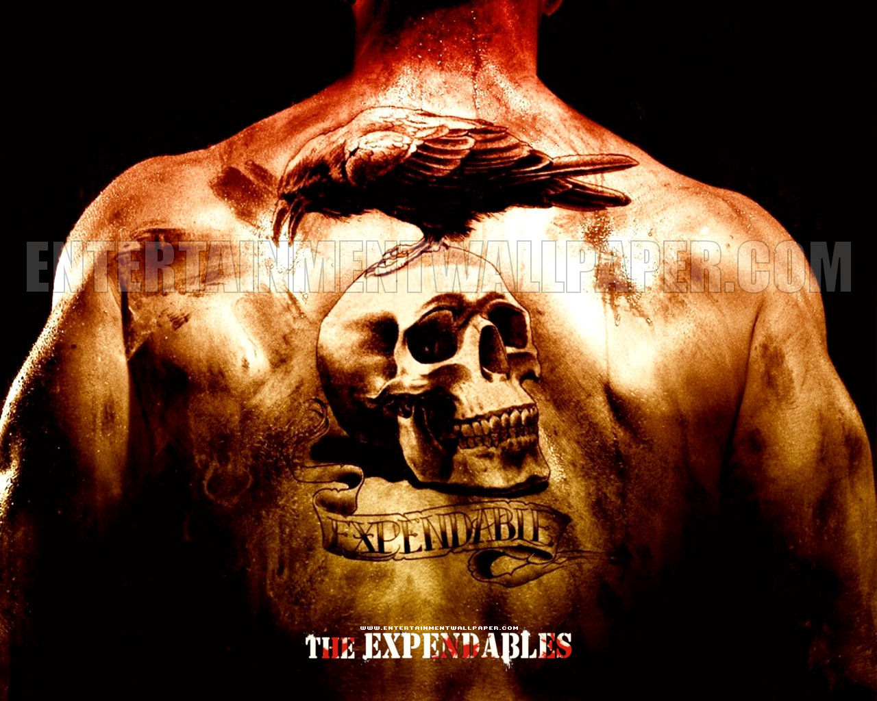 http://4.bp.blogspot.com/_le4lKz5LIVk/TC02k7vdj0I/AAAAAAAAAY0/ezkOEei3QTc/s1600/the_expendables01.jpg