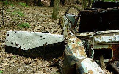 The rusted Ford Fairlane in the woods at Amethyst Brook