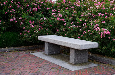 Stone bench surrounded with pink flowers