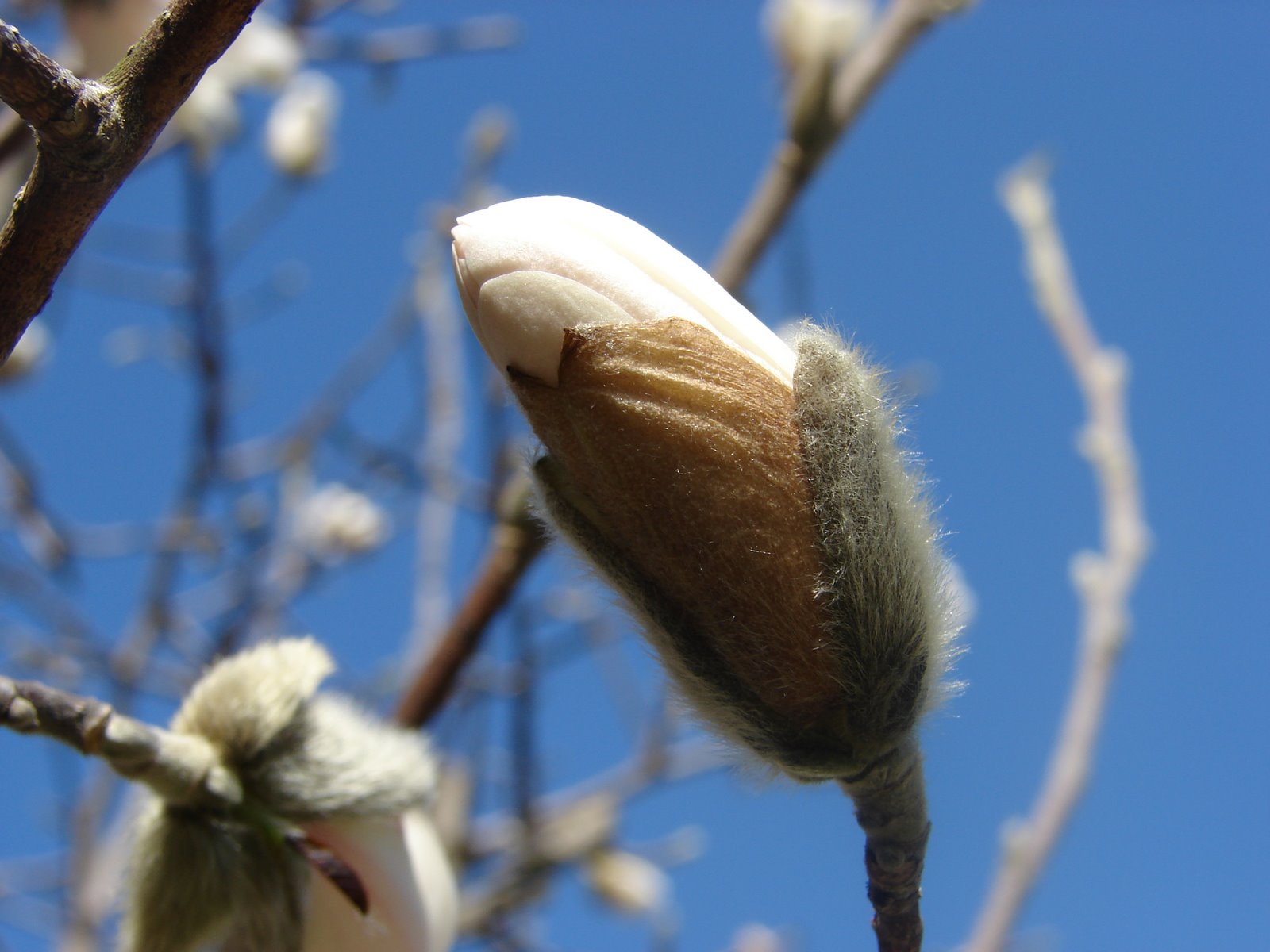 [DSC02008.JPG]