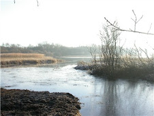 BOULTHAM MERE