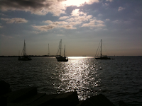 Annapolis Harbor Early Morning