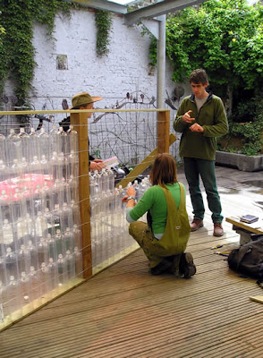 Plastic bottle greenhouse