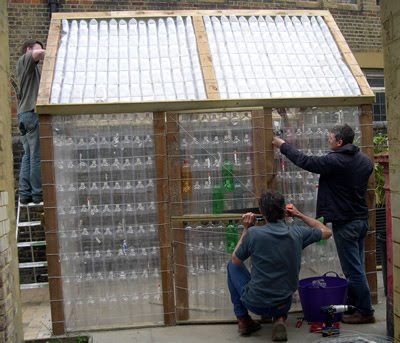 Plastic bottle greenhouse