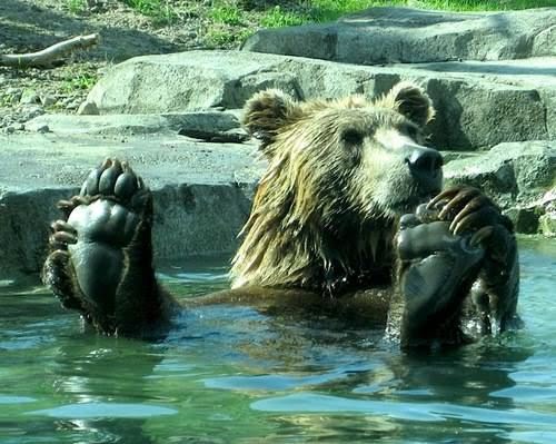 Relax