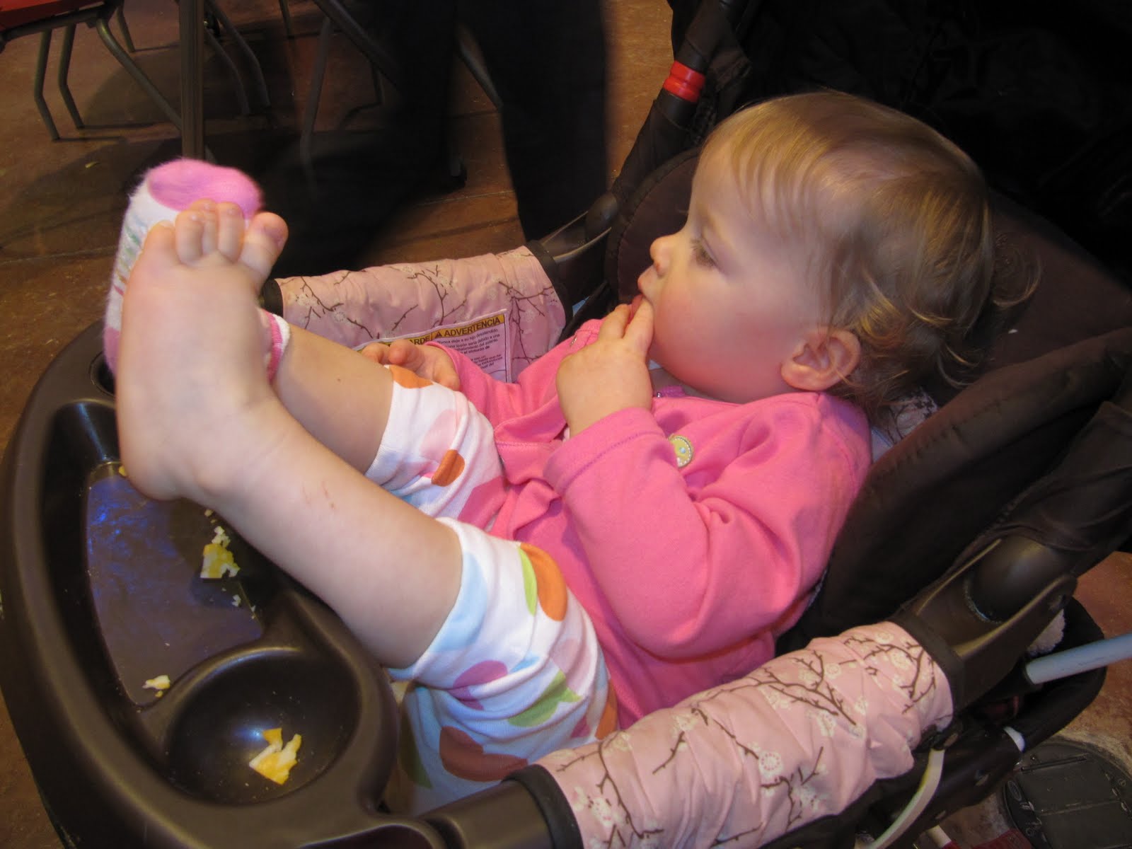 My 18 Month Old Little Bundle of Joy