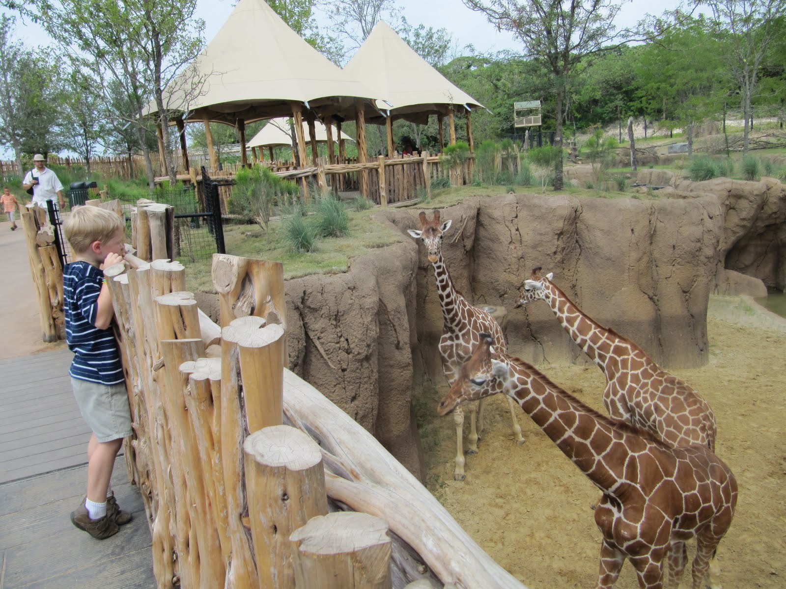 Savor The Days Dallas Zoo