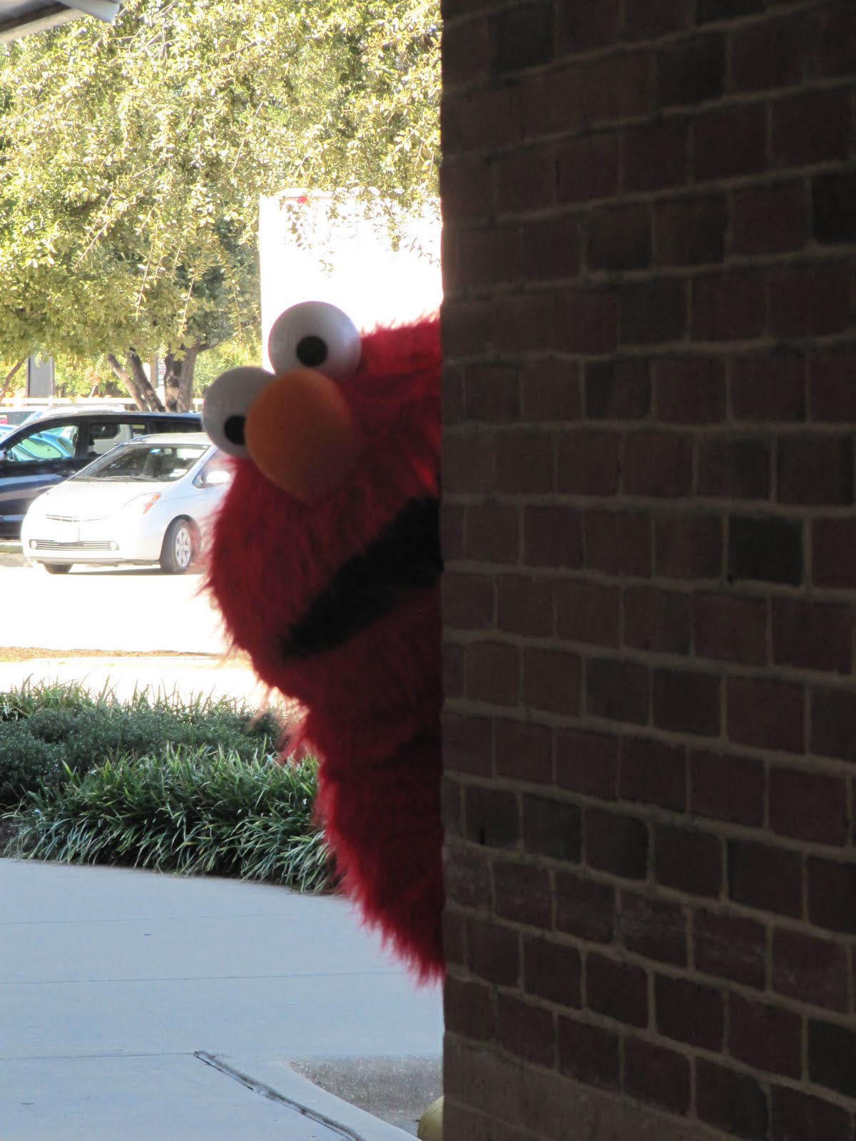 Savor The Days Elmo Love Him or Fear Him?