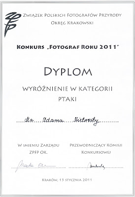 zdjęcia przyrodnicze