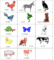 preguntas filosoficas sobre los derechos humanos los alrededores los animales desde la perspectiva etica y preguntas filosoficas sobre los derechos humanos los alrededores los animales desde la perspectiva etica y