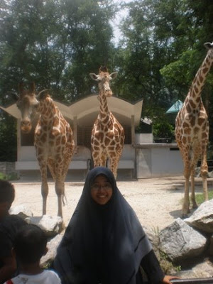 Memori Kehidupan, Aspirasi Sebuah Perjuangan: Sekitar kenangan di Zoo