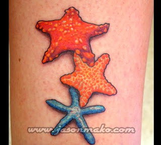 starfish tattoo design image gallery