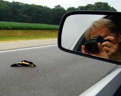 The Word Of Jeff: Dead Skunk In The Middle Of The Road