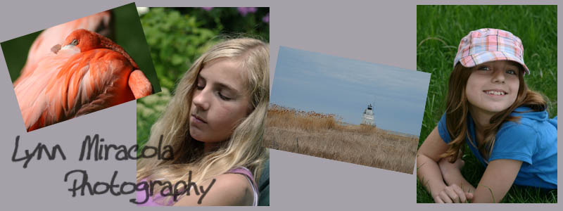 Lynn\