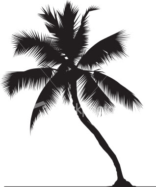 coconut-tree.jpg