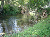 Mossy Creek, VA
