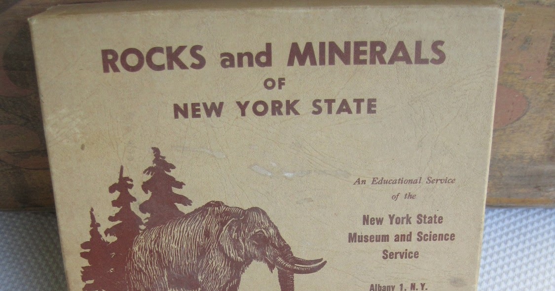 carly waito ROCKS and MINERALS OF NEW YORK STATE