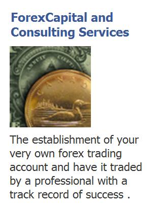 Forex Investment Options