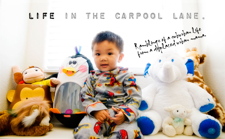Life in the Carpool Lane.