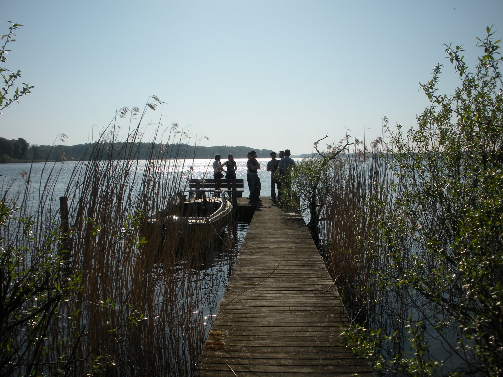 [DSCN0712.JPG]